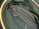 2007-04-24 012.JPG